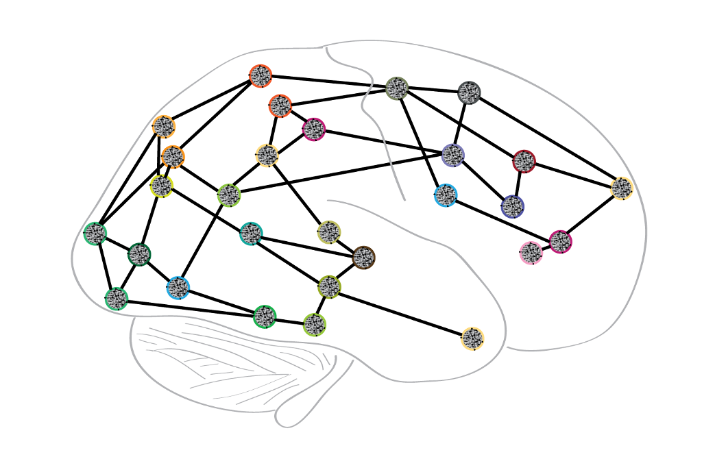Brain network dynamics