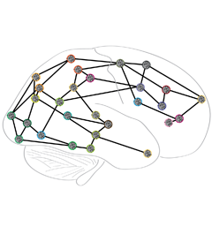 brain_net_icon